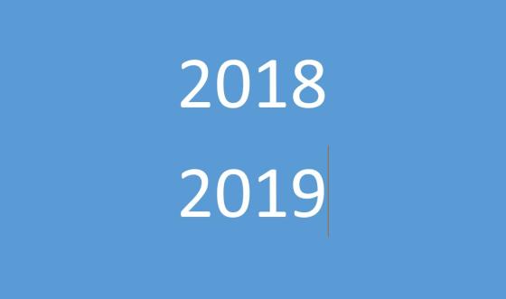 2019-2019 Icon